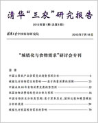 三农研究报告