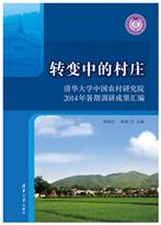 转变中的村庄
