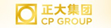 正大集团