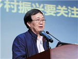 马晓河：乡村振兴要关注四方面的问题